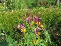 IMG_5737.webp