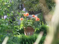 IMG_5733.webp