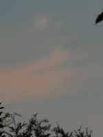 P1010824 (2).webp