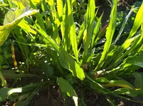 IMG_20170823_175125.webp