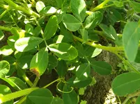 IMG_20170823_175209.webp