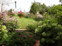 DSC02223.webp