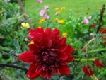 DSC02230.JPG