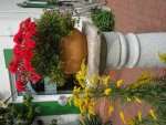 DSC02240.jpg