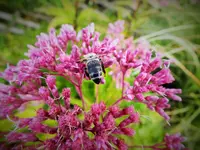 DSCF9965 (2).webp