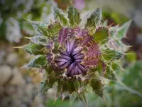 DSCF9956 (2).webp