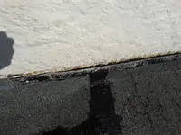 20170828_120136.jpg