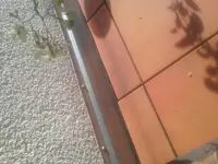 1503933047623-365444067.webp