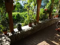 DSC02205.jpg