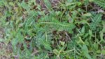 20170828_174103.jpg