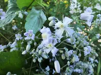 DSCF9982 (2).webp