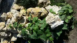 20170829_103810.webp