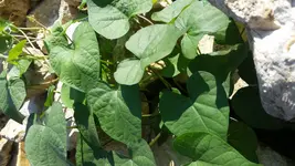 20170829_103822.webp