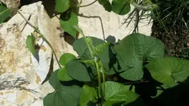 20170829_103840.webp