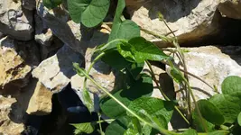 20170829_103849.webp