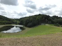 P1060786Weg nach Schrozberg.webp
