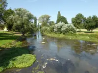 P1060855Tauber, Blick von der Brücke.webp