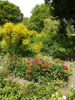 P1060894Bauerngarten.webp
