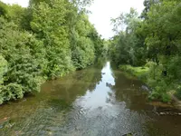 P1060895Tauber.webp