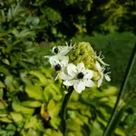 20170829_122341.jpg