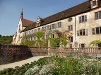 P1060933Kloster Bronnbach.webp