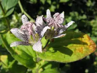 008_1024x768.webp