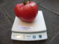 P1030311.webp P1030311.webp