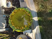 20160913_174739.webp