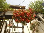 DSCN5621.jpg