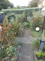 DSCN5632.webp