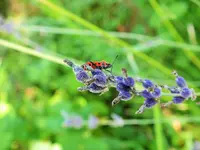 DSCF9985 (2).webp