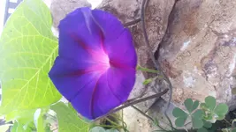 20170830_104935.webp