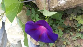 20170830_104911.webp