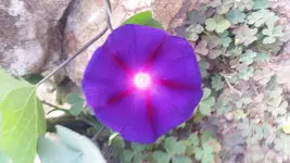 20170830_104906.webp