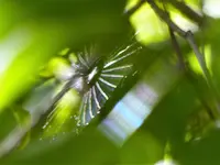 P1010919.webp