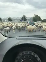 watt wollen die.webp