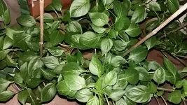 20170830_203721.jpg