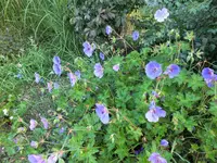 DSCF9980 (2).webp