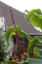 _DSC2179.webp