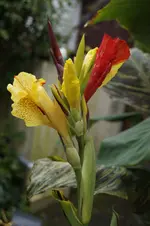 _DSC2178.webp