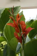 _DSC2176.webp