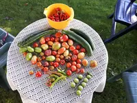 20170831_163455.webp