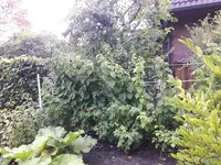 20170831_175824.webp
