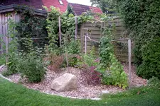 IMGP1499.webp
