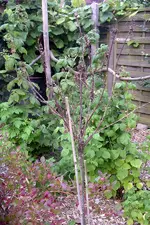 IMGP1502.webp