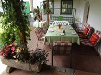 DSC02265.webp
