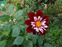 DSC02260.JPG