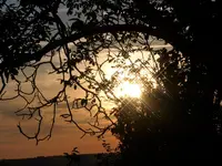 P1010889.webp