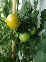 2017-09-01 17.24.50.webp