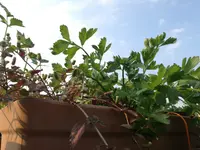2017-09-01 17.44.54.webp